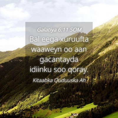 Picture 04 - Galatiya 6:11 SOM - Bal eega xuruufta waaweyn oo aan gacantayda - Bible Verse Picture