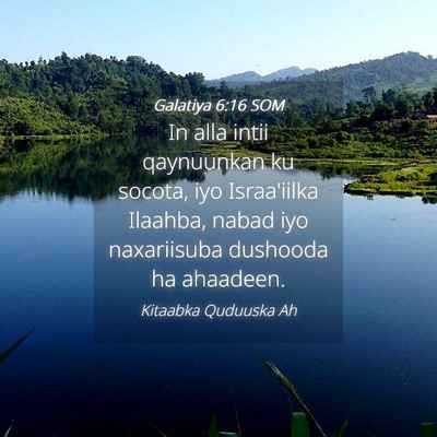 Picture 04 - Galatiya 6:16 SOM - In alla intii qaynuunkan ku socota, iyo - Bible Verse Picture