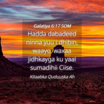 Picture 04 - Galatiya 6:17 SOM - Hadda dabadeed ninna yuu i dhibin, waayo, waxaa - Bible Verse Picture
