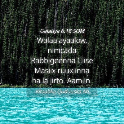 Picture 04 - Galatiya 6:18 SOM - Walaalayaalow, nimcada Rabbigeenna Ciise Masiix - Bible Verse Picture