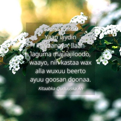Picture 04 - Galatiya 6:7 SOM - Yaan laydin khiyaanayn; Ilaah laguma - Bible Verse Picture