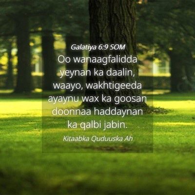 Picture 04 - Galatiya 6:9 SOM - Oo wanaagfalidda yeynan ka daalin, waayo, - Bible Verse Picture
