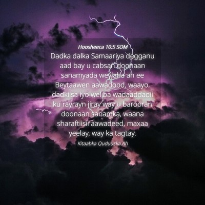 Picture 04 - Hoosheeca 10:5 SOM - Dadka dalka Samaariya degganu aad bay u cabsan - Bible Verse Picture