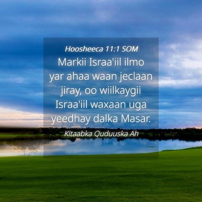Picture 04 - Hoosheeca 11:1 SOM - Markii Israa'iil ilmo yar ahaa waan jeclaan - Bible Verse Picture