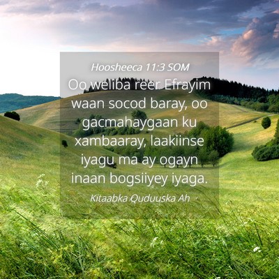 Picture 04 - Hoosheeca 11:3 SOM - Oo weliba reer Efrayim waan socod baray, oo - Bible Verse Picture