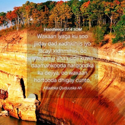 Picture 04 - Hoosheeca 11:4 SOM - Waxaan iyaga ku soo jiiday dad xadhkihiis iyo - Bible Verse Picture
