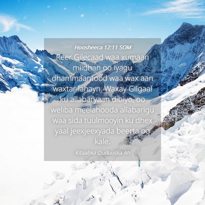 Picture 04 - Hoosheeca 12:11 SOM - Reer Gilecaad waa xumaan miidhan oo iyagu - Bible Verse Picture