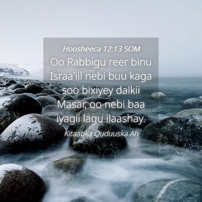 Picture 04 - Hoosheeca 12:13 SOM - Oo Rabbigu reer binu Israa'iil nebi buu kaga soo - Bible Verse Picture