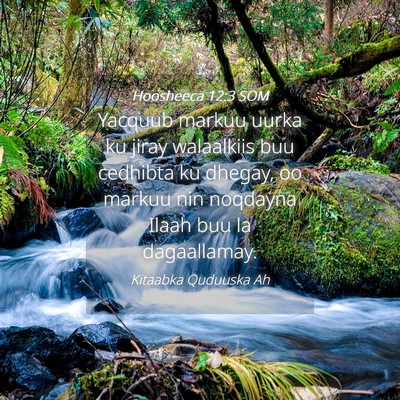 Picture 04 - Hoosheeca 12:3 SOM - Yacquub markuu uurka ku jiray walaalkiis buu - Bible Verse Picture