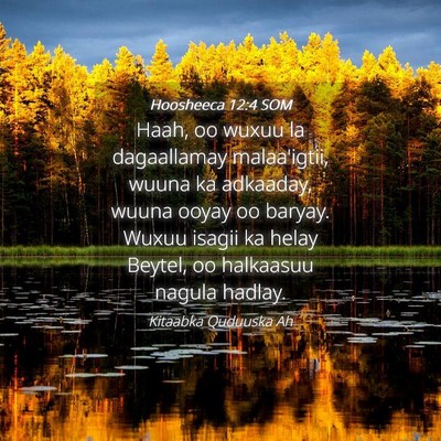 Picture 04 - Hoosheeca 12:4 SOM - Haah, oo wuxuu la dagaallamay malaa'igtii, wuuna - Bible Verse Picture