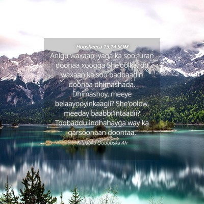 Picture 04 - Hoosheeca 13:14 SOM - Anigu waxaan iyaga ka soo furan doonaa xoogga - Bible Verse Picture