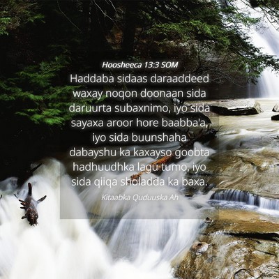 Picture 04 - Hoosheeca 13:3 SOM - Haddaba sidaas daraaddeed waxay noqon doonaan - Bible Verse Picture