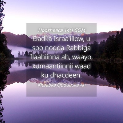 Picture 04 - Hoosheeca 14:1 SOM - Dadka Israa'iilow, u soo noqda Rabbiga Ilaahiinna - Bible Verse Picture