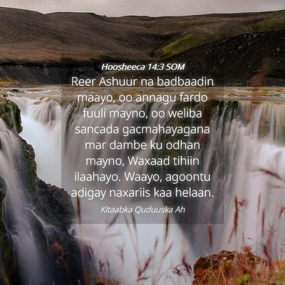 Picture 04 - Hoosheeca 14:3 SOM - Reer Ashuur na badbaadin maayo, oo annagu fardo - Bible Verse Picture