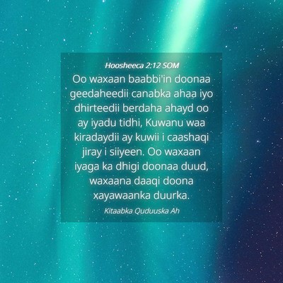Picture 04 - Hoosheeca 2:12 SOM - Oo waxaan baabbi'in doonaa geedaheedii canabka - Bible Verse Picture
