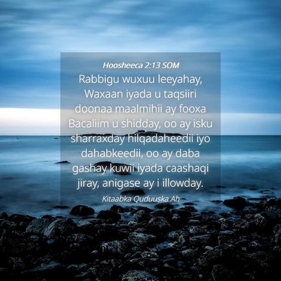 Picture 04 - Hoosheeca 2:13 SOM - Rabbigu wuxuu leeyahay, Waxaan iyada u taqsiiri - Bible Verse Picture