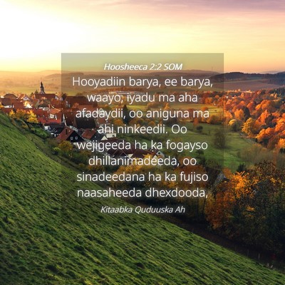 Picture 04 - Hoosheeca 2:2 SOM - Hooyadiin barya, ee barya, waayo, iyadu ma aha - Bible Verse Picture