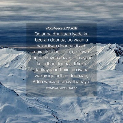 Picture 04 - Hoosheeca 2:23 SOM - Oo anna dhulkaan iyada ku beeran doonaa, oo waan - Bible Verse Picture