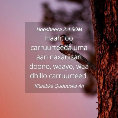 Picture 04 - Hoosheeca 2:4 SOM - Haah, oo carruurteeda uma aan naxariisan doono, - Bible Verse Picture