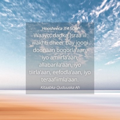 Picture 04 - Hoosheeca 3:4 SOM - Waayo, dadka Israa'iil wakhti dheer bay joogi - Bible Verse Picture