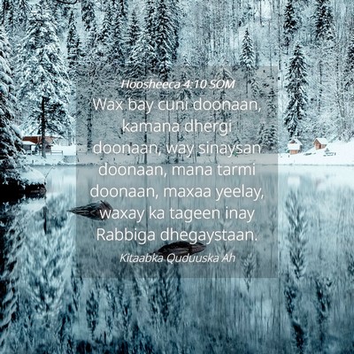 Picture 04 - Hoosheeca 4:10 SOM - Wax bay cuni doonaan, kamana dhergi doonaan, way - Bible Verse Picture