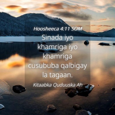 Picture 04 - Hoosheeca 4:11 SOM - Sinada iyo khamriga iyo khamriga cusububa - Bible Verse Picture