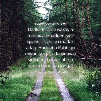 Picture 04 - Hoosheeca 4:16 SOM - Dadka Israa'iil waxay u madax adkaadeen sidii - Bible Verse Picture