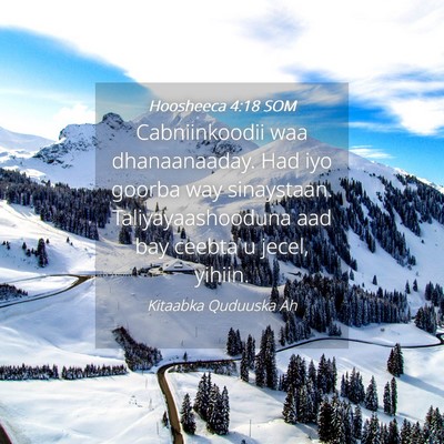 Picture 04 - Hoosheeca 4:18 SOM - Cabniinkoodii waa dhanaanaaday. Had iyo goorba - Bible Verse Picture