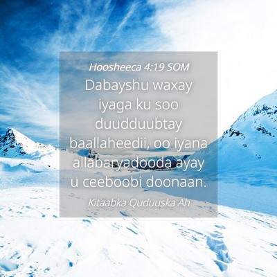 Picture 04 - Hoosheeca 4:19 SOM - Dabayshu waxay iyaga ku soo duudduubtay - Bible Verse Picture