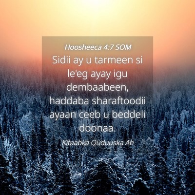 Picture 04 - Hoosheeca 4:7 SOM - Sidii ay u tarmeen si le'eg ayay igu dembaabeen, - Bible Verse Picture