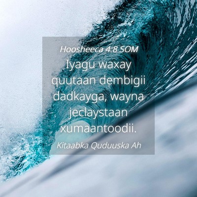 Picture 04 - Hoosheeca 4:8 SOM - Iyagu waxay quutaan dembigii dadkayga, wayna - Bible Verse Picture