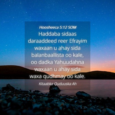Picture 04 - Hoosheeca 5:12 SOM - Haddaba sidaas daraaddeed reer Efrayim waxaan u - Bible Verse Picture