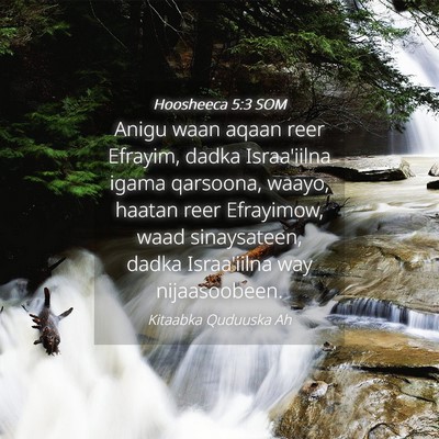 Picture 04 - Hoosheeca 5:3 SOM - Anigu waan aqaan reer Efrayim, dadka Israa'iilna - Bible Verse Picture