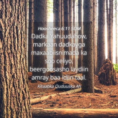 Picture 04 - Hoosheeca 6:11 SOM - Dadka Yahuudahow, markaan dadkayga - Bible Verse Picture