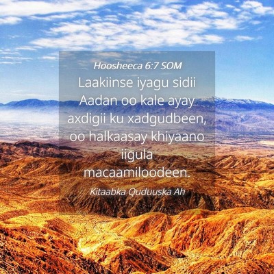 Picture 04 - Hoosheeca 6:7 SOM - Laakiinse iyagu sidii Aadan oo kale ayay axdigii - Bible Verse Picture