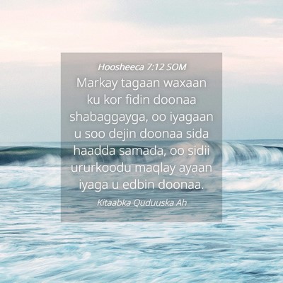 Picture 04 - Hoosheeca 7:12 SOM - Markay tagaan waxaan ku kor fidin doonaa - Bible Verse Picture
