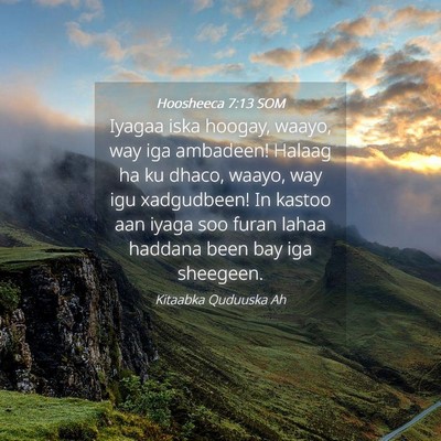 Picture 04 - Hoosheeca 7:13 SOM - Iyagaa iska hoogay, waayo, way iga ambadeen! - Bible Verse Picture
