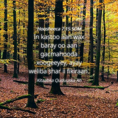 Picture 04 - Hoosheeca 7:15 SOM - In kastoo aan wax baray oo aan gacmahooda - Bible Verse Picture