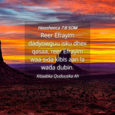 Picture 04 - Hoosheeca 7:8 SOM - Reer Efrayim dadyowguu isku dhex qasaa, reer - Bible Verse Picture