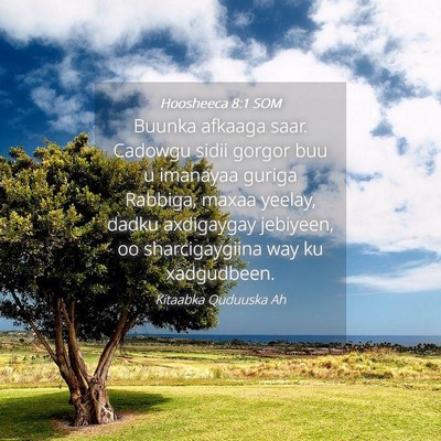 Picture 04 - Hoosheeca 8:1 SOM - Buunka afkaaga saar. Cadowgu sidii gorgor buu u - Bible Verse Picture
