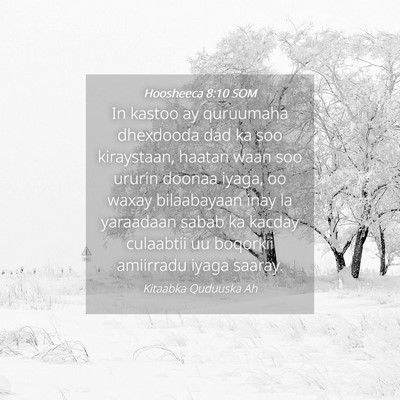 Picture 04 - Hoosheeca 8:10 SOM - In kastoo ay quruumaha dhexdooda dad ka soo - Bible Verse Picture