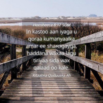 Picture 04 - Hoosheeca 8:12 SOM - In kastoo aan iyaga u qoraa kumanyaalka amar ee - Bible Verse Picture