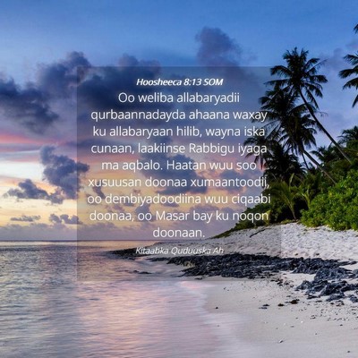 Picture 04 - Hoosheeca 8:13 SOM - Oo weliba allabaryadii qurbaannadayda ahaana - Bible Verse Picture