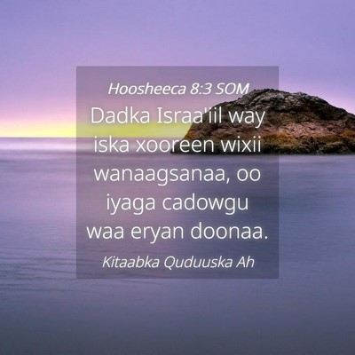 Picture 04 - Hoosheeca 8:3 SOM - Dadka Israa'iil way iska xooreen wixii - Bible Verse Picture