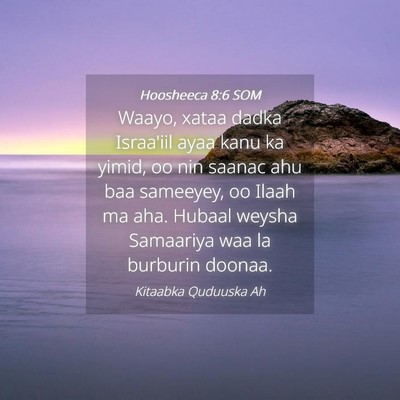 Picture 04 - Hoosheeca 8:6 SOM - Waayo, xataa dadka Israa'iil ayaa kanu ka yimid, - Bible Verse Picture