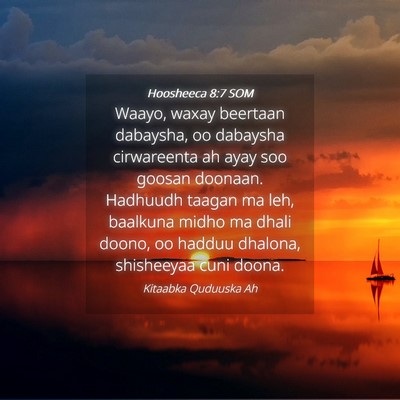 Picture 04 - Hoosheeca 8:7 SOM - Waayo, waxay beertaan dabaysha, oo dabaysha - Bible Verse Picture