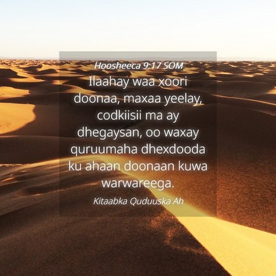 Picture 04 - Hoosheeca 9:17 SOM - Ilaahay waa xoori doonaa, maxaa yeelay, codkiisii - Bible Verse Picture