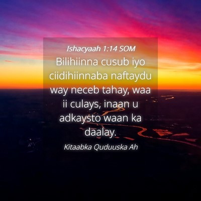 Picture 04 - Ishacyaah 1:14 SOM - Bilihiinna cusub iyo ciidihiinnaba naftaydu way - Bible Verse Picture