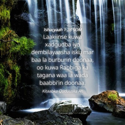 Picture 04 - Ishacyaah 1:28 SOM - Laakiinse kuwa xadgudba iyo dembilayaasha isku - Bible Verse Picture
