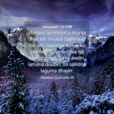 Picture 04 - Ishacyaah 1:6 SOM - Madaxa iyo minjaha inta ka dhex leh innaba - Bible Verse Picture